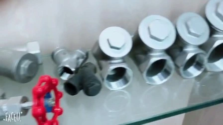 Stainless Steel Gate Valve Oil and Gas 800wog Y Type Check Valve